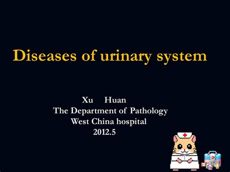 Diseases Of Urinary System Ppt Download