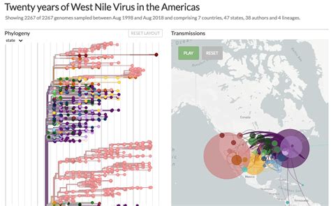 Title Of Map Panel Transmissions Geographic Distribution