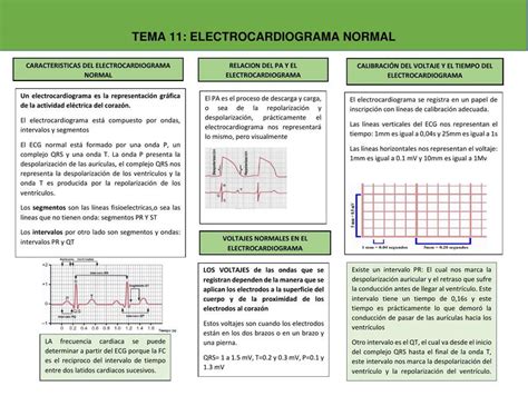 Ecg Y An Lisis Vectorial Garcia Aguayo Valeria Udocz