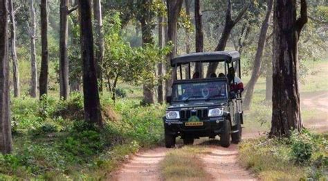 Dubare Elephant Camp Coorg Jungle Lodges