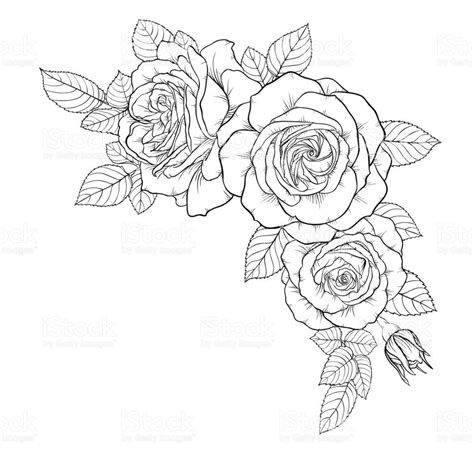 beautiful black and white bouquet rose and leaves. Floral arrangement ...