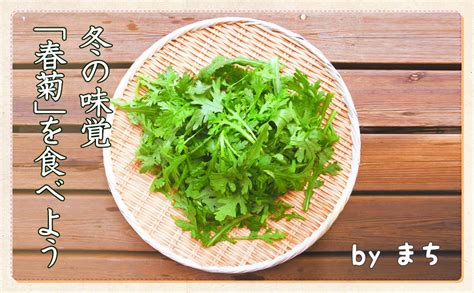 独特の香りと苦みがクセになる！？ 冬の味覚「春菊」 一般財団法人 日本educe食育総合研究所