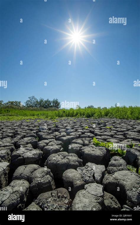 Le Fond Dun étang Est Fortement Séché Le Parc National Du Lac Neusiedl Seewinkel Breitenbrunn