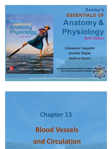 Blood Vessels | PDF