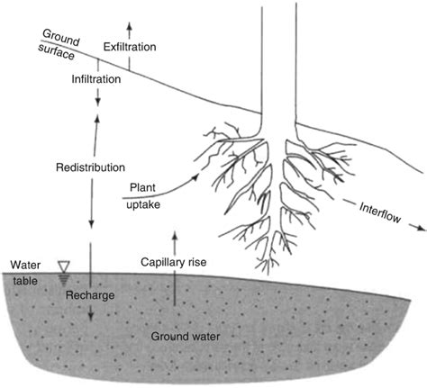 Percolation Definition