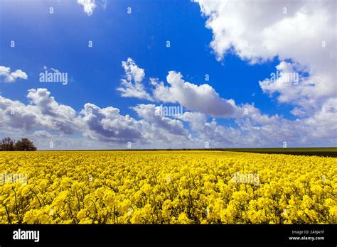 Landschaften Felder Hi Res Stock Photography And Images Alamy