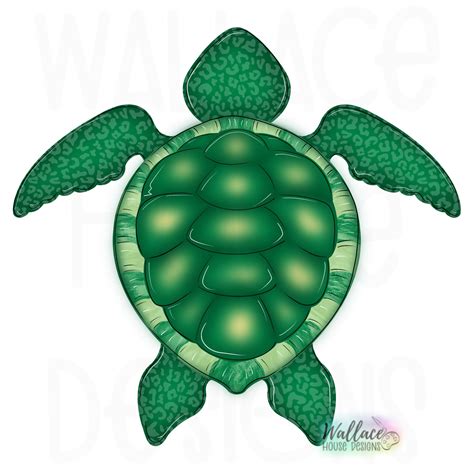 Free Clip Turtle Template Download Free Clip Turtle Template Png