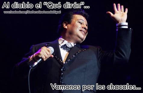 Juan Gabriel Meme Así Surgió El Meme De Juan Gabriel Y La Palmera