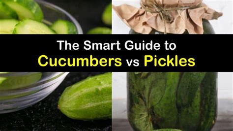 Differences between Pickles and Cucumbers