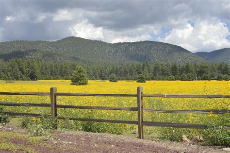 A Guide to Flagstaff Hiking | Porter