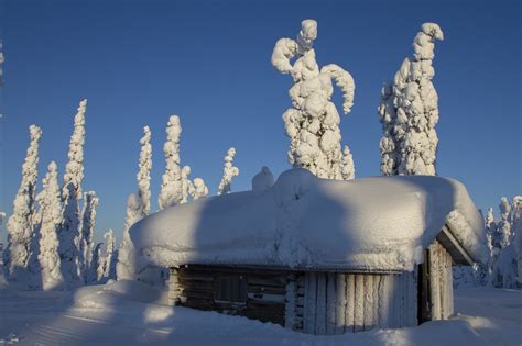 Lappland Winter Schnee Kostenloses Foto Auf Pixabay Pixabay