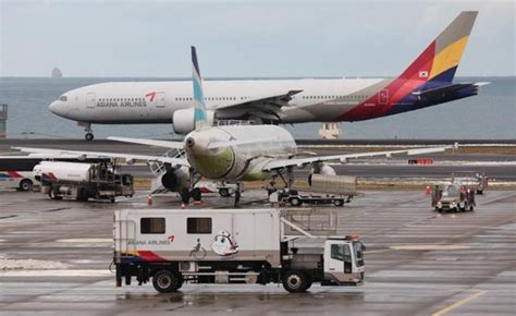 다시 일상으로제주공항 항공기 운항 정상화 네이트 뉴스