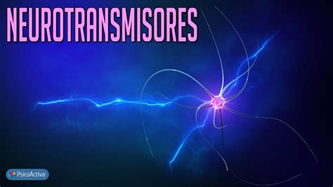 Los Principales Neurotransmisores Funciones Y Problemas Que Provoca Su Déficit O Exceso Youtube