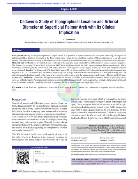 Pdf Cadaveric Study Of Topographical Location And Arterial Diameter