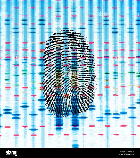 Genetic Fingerprint Dna Hi Res Stock Photography And Images Alamy