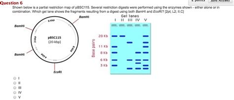 Restriction Enzyme Mapping