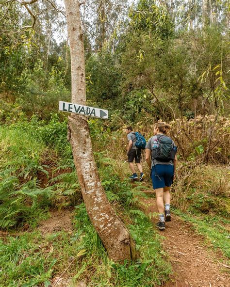 11 Beautiful Levada Walks in Madeira – Red White Adventures