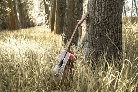 Guitar In Nature Stock Image Image Of Foliage Fall 96318751