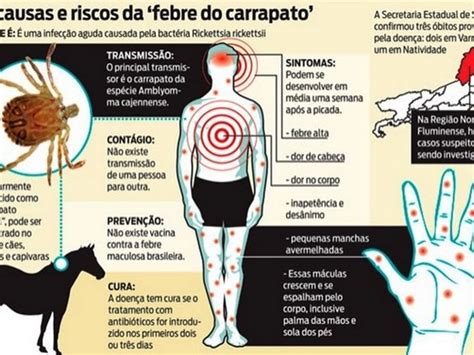 G Divin Polis O Munic Pio Mais Casos De Febre Maculosa Em