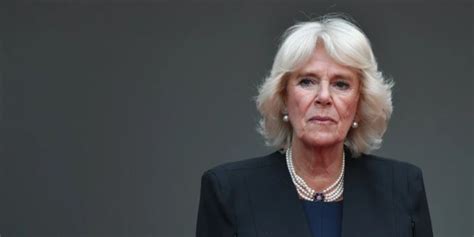 Prinz Harry Camilla ist empört über seinen Blitz Besuch bei Charles