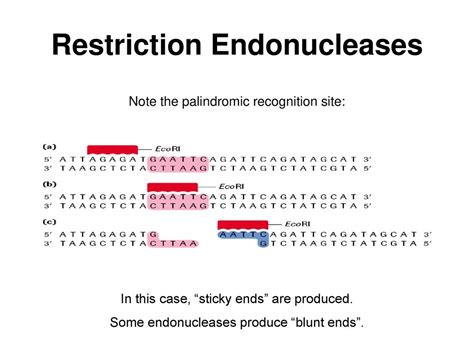 Biotechnological Tools And Techniques Ppt Download