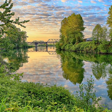 How to Use the Snohomish County Scopi Online Search Tool 16