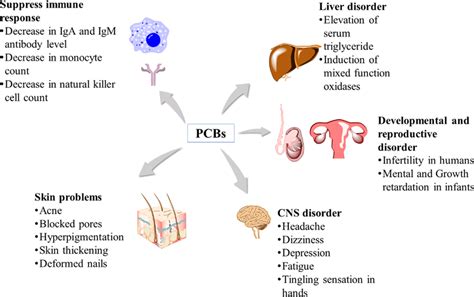 Health impacts of PCBs to humans | Download Scientific Diagram