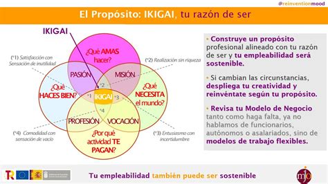 IKIGAI Es Tu Sostenibilidad Profesional YouTube