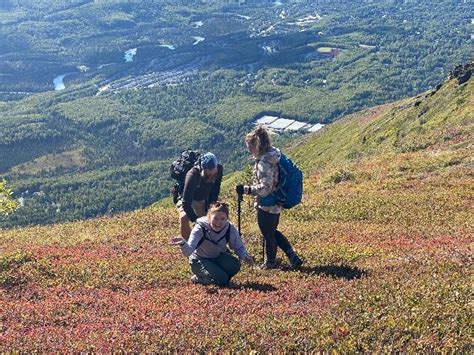 Alaska Hiking Tours | Summer Guided Hikes