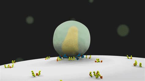 Watch A Cellular Biologist Animates The Life Cycle Of Hiv In This