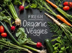 'Fresh Organic Veggies' poster design. — Stock Photo © Pinkyone #97446302