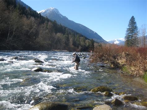 Al Via La Stagione Di Pesca Nelle Acque Dell Alto Sarca E Dell Alto