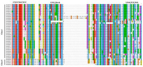 Ijms Free Full Text Genome Wide Identification Of The Ginkgo