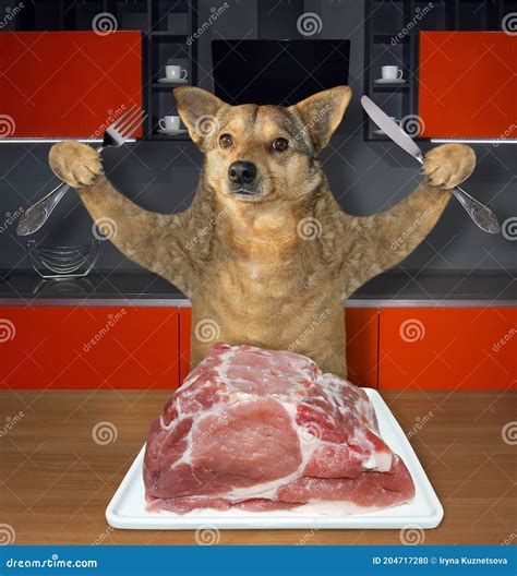 Le Chien Est En Train De Manger De La Viande Crue à La Table Photo