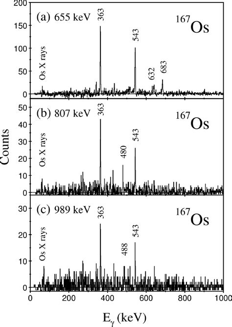 Examples of γ ray coincidence spectra generated from a recoil gated E γ