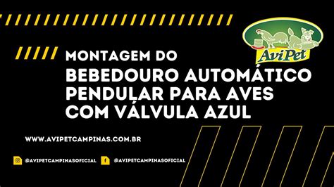 Bebedouro Automático Pendular para Aves Válvula AVIPET YouTube