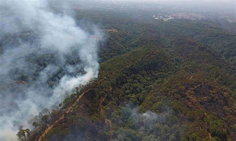 Se Han Registrado 113 Incendios Forestales En Morelos CC News