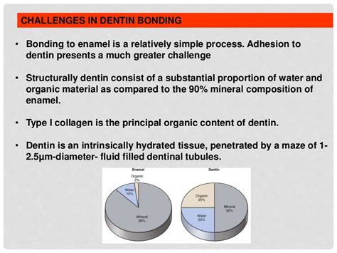 Bonding To Enamel And Dentin