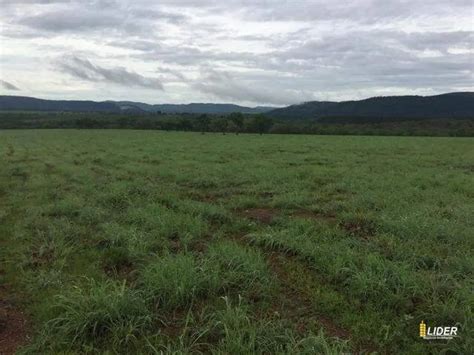 Fazenda S Tio Na Rea Rural Area Rural De Paracatu Em Paracatu Por R