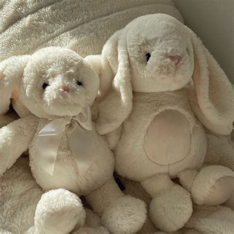 ୨୧·˚ ༘♡ Cute Stuffed Animals Teddy Bear Animals