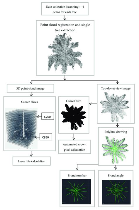 Schematic Of The Method Used For Feature Extraction Download Scientific Diagram