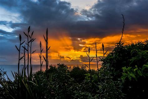 Matakatia Bay. Hibiscus Coast New Zealand. Roscoe