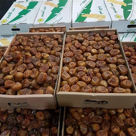 Jual Kurma Sukari Kg Kemasan Dus Kurma Premium Kurma Original