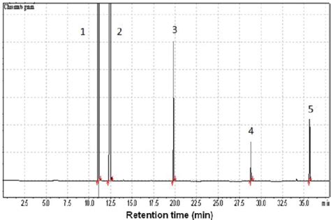 Representative Gas Chromatogram Of Cyclohexane Mibk Bma