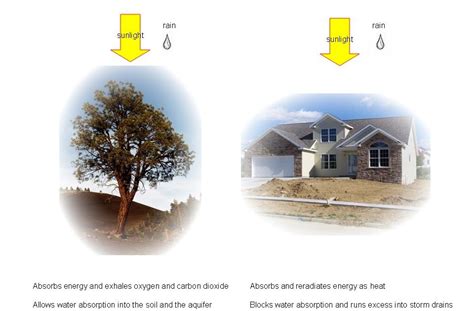 The Greensward Civitas Buildings Or Trees