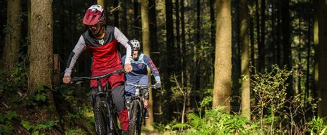 Kiddens trail at Haldon Forest Park | Forestry England