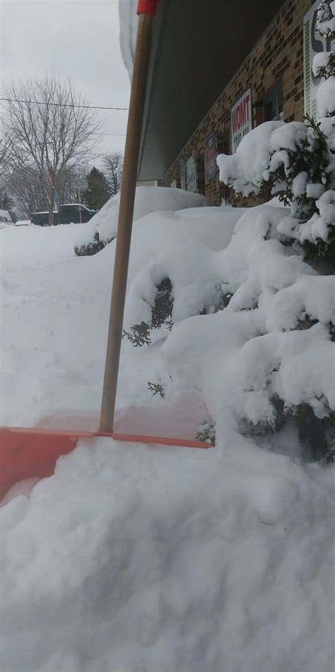 Winter Storm Evelyn Snowfall Totals | Seehafer News