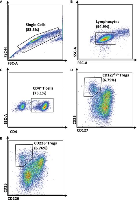 Frontiers Human CD4 CD25 CD226 Tregs Demonstrate Increased Purity