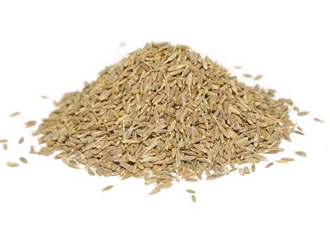 Organic Cumin Seeds TBC | Cuminum Cyminum | Cultivator Natural Products