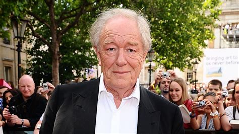 Adi S Michael Gambon Falleci El Actor Que Encarn A Dumbledore En La